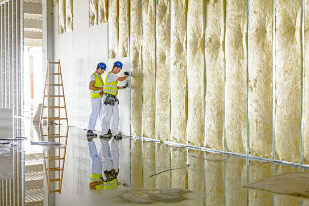 Professional Insulation Contractor in CA